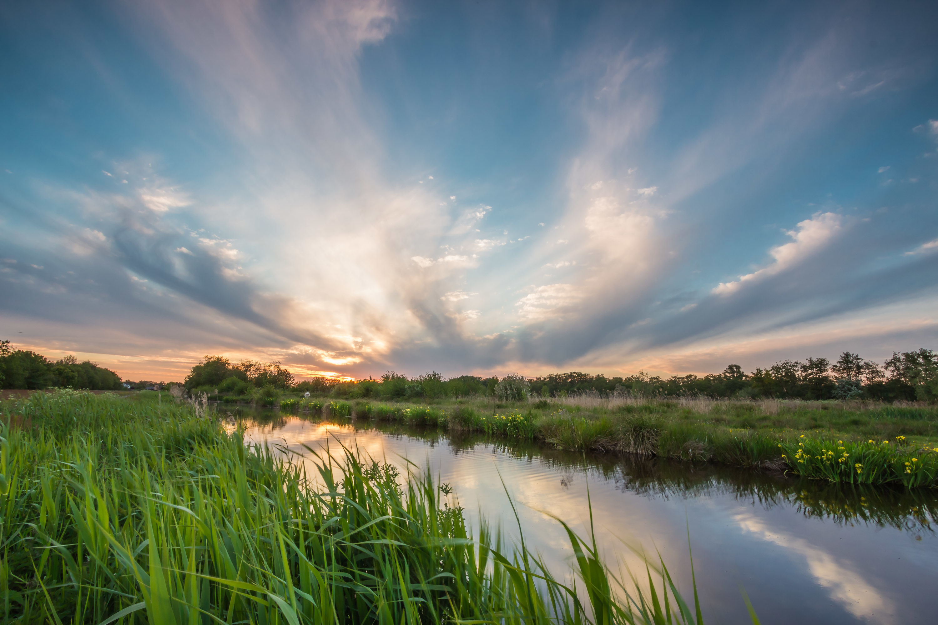 Zonsopgang Nieuwkoopse Plassen Natuurmonumenten Jordan Blaauw