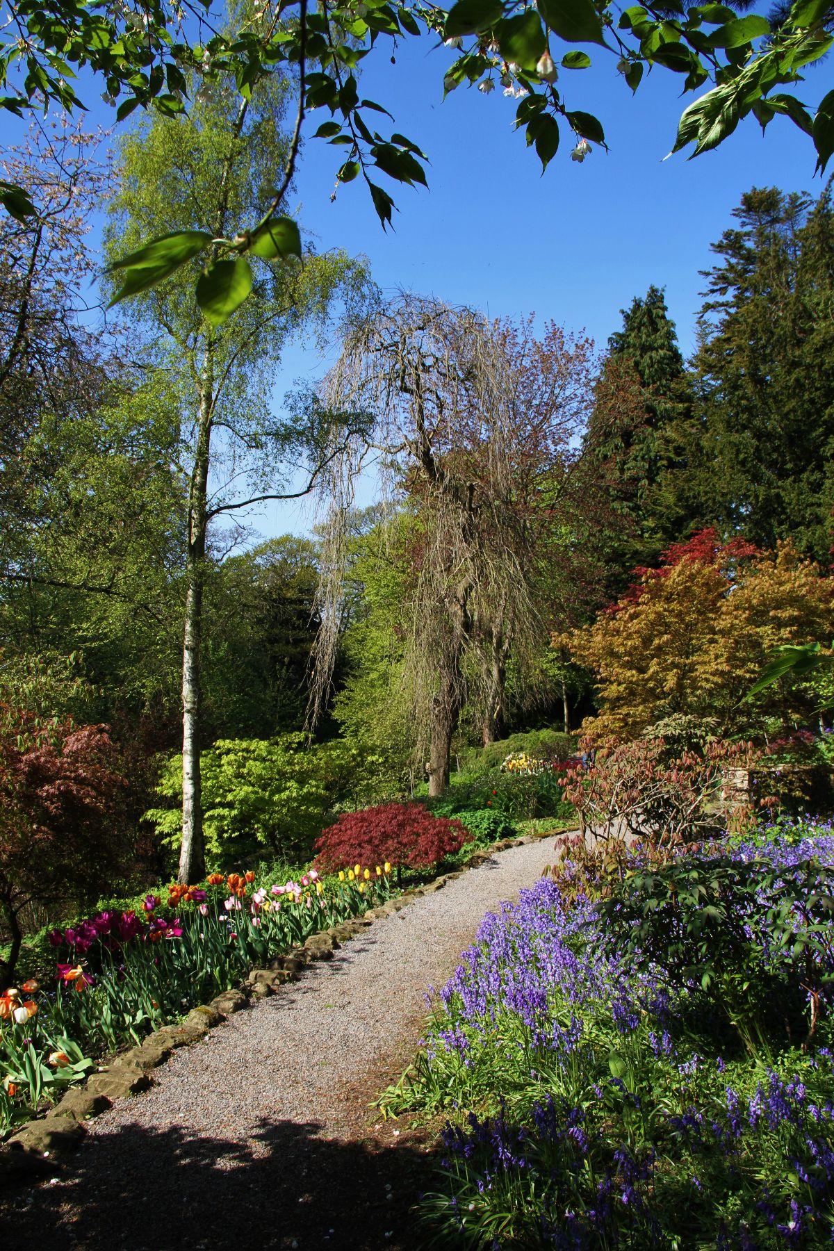 arboretum doorn