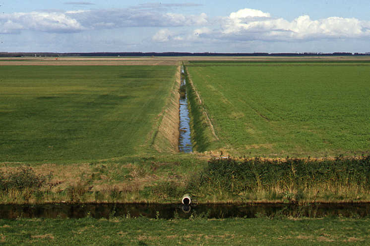 landbouwgebied in polder flevoland.jpgC22B9844C2ED3C880982D37DF4614252